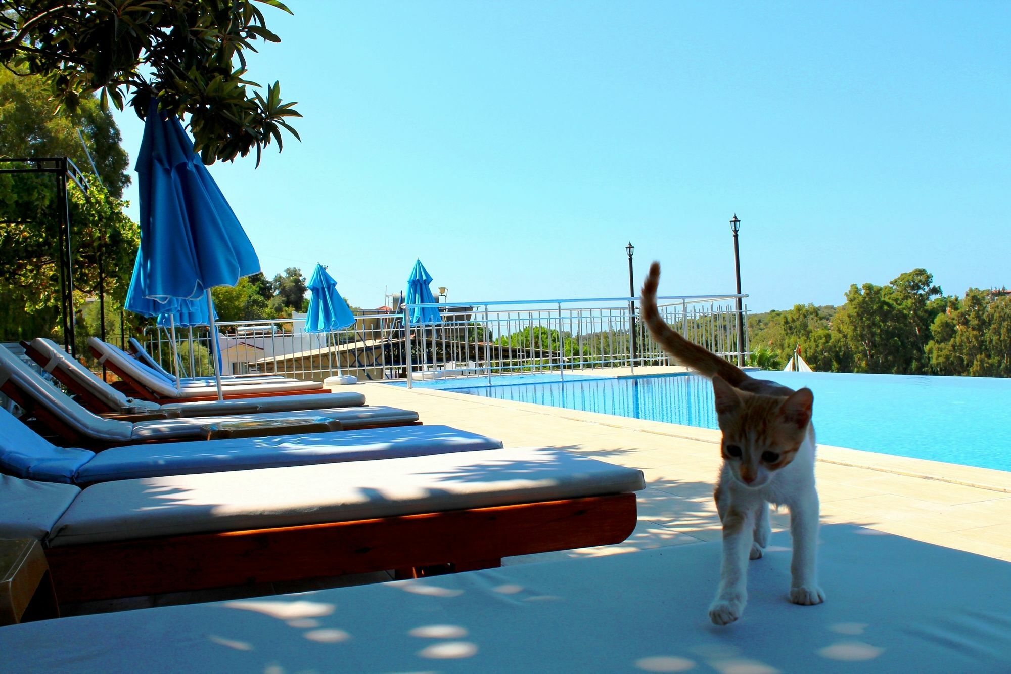 Hotel Patara Sun Club Exterior photo